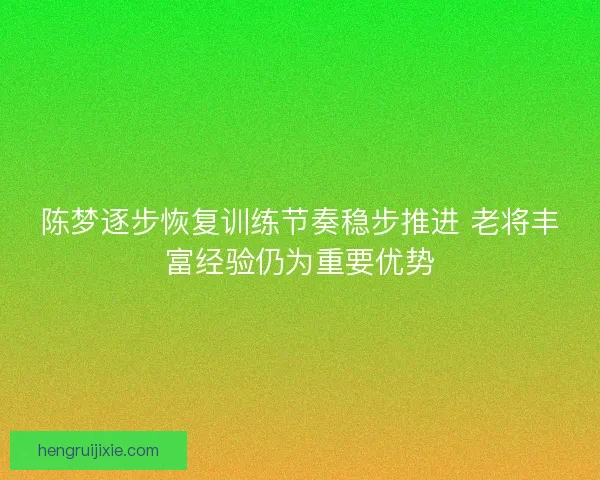 陈梦逐步恢复训练节奏稳步推进 老将丰富经验仍为重要优势